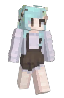 Front of Minecraft skin