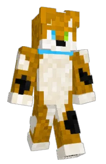 Front of jribsg's skin