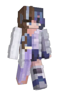 rcastle2110's Minecraft skin