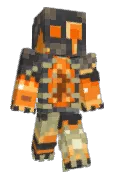 Acornflash