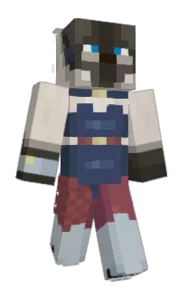 Front of Zinsil's skin