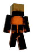 Lixel