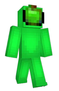 Front of gerqd's skin