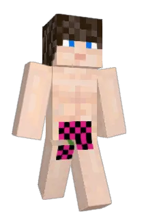 Front of Hero2213's skin