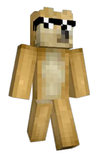 Front of DogeOrTrain's skin