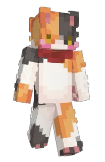 Front of Amateureur's skin
