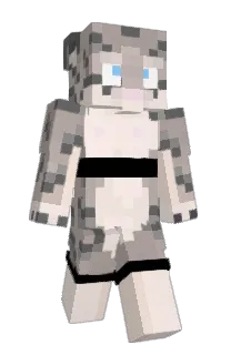 Front of b0sz's skin