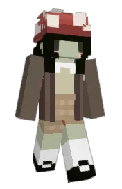 Skin preview