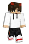 Td3ss