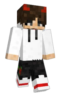 Front of Td3ss's skin