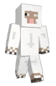 Kingtomcat