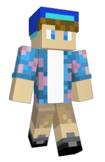 Front of beanberries's skin