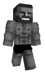 Minecraft skin — Classic model