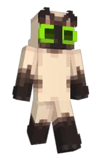 Front of HBVGYUH's skin