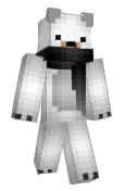 SuperNinja2036