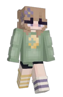 Front of notalice's skin