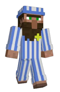 12frank's Minecraft skin