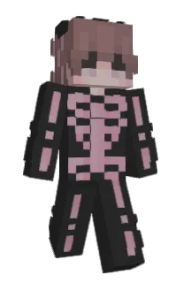 Front of 4x44's skin
