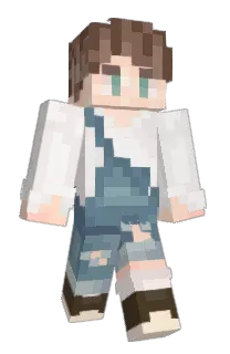 Lillbus2005's Minecraft skin