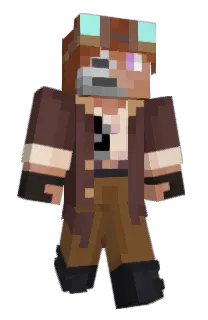 Front of Infinibee's skin