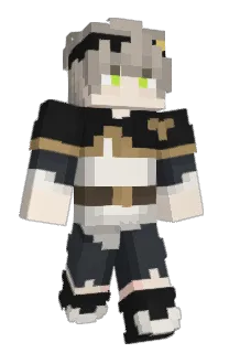 Front of roxasceed's skin