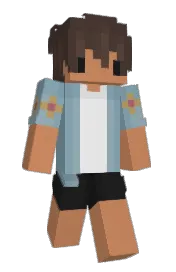 Skin preview