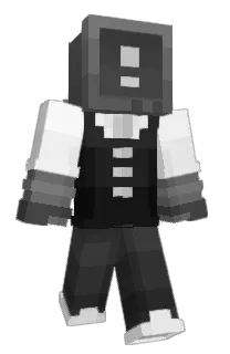 Front of Venets's skin