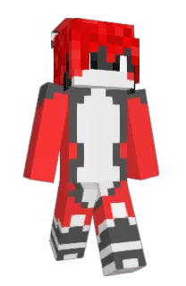 Front of StorfiX's skin