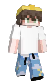 Minecraft-Avatar von b3nj1: ganzer Körper