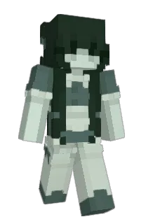 Front of sohv's skin