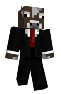 Front of irltraded's skin