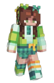 Skin preview