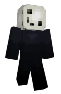 Front of lI2l's skin