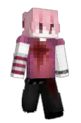dvvidkg