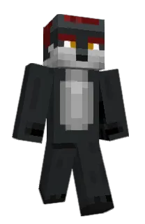 Front of Solid64's skin