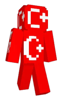Front of Presidentolama's skin
