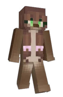 Front of ambwer's skin