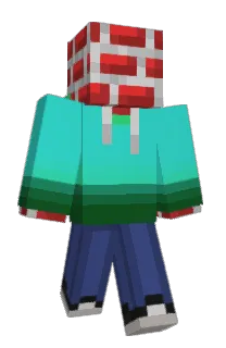 Front of brickboy880's skin