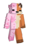 fox_N_09
