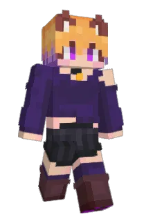 Front of PokeToke's skin