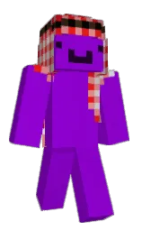 Minecraft-Skin in electric violet und new york pink — Modell: Klassisch — zuerst getragen von WonderStudioss