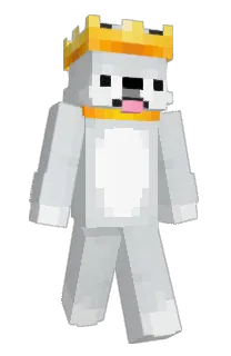 Front of Akker's skin