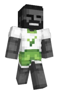 seakwo's Minecraft skin