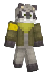 Front of Raccoon's skin