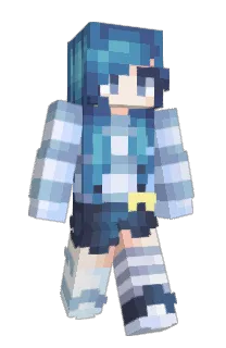 Front of Clowina's skin