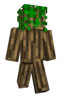 Front of taipey's skin