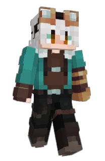 Front of zinified's skin
