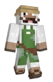 Skin preview