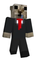 Minecraft skin — Classic model