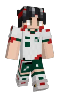 Front of Minecraft skin